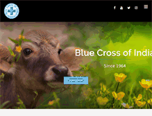 Tablet Screenshot of bluecrossofindia.org